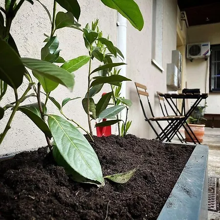 Manca's With Free Parking * 卢布尔雅那