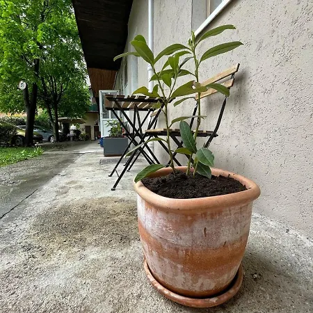 Manca's With Free Parking * 卢布尔雅那