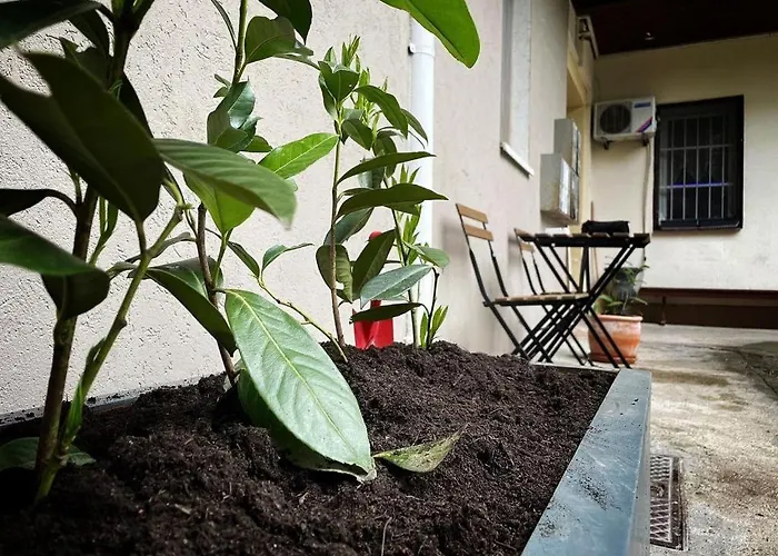 Manca's With Free Parking * 卢布尔雅那