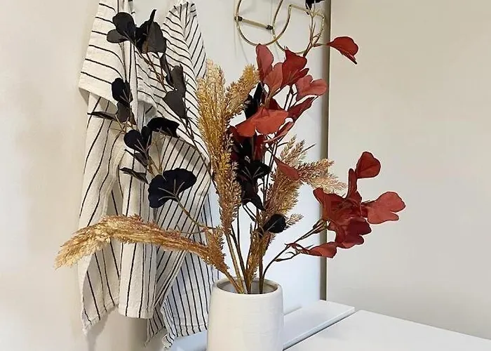 Manca's With Free Parking 公寓 *